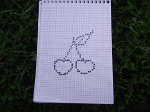 keresztszemes cseresznye