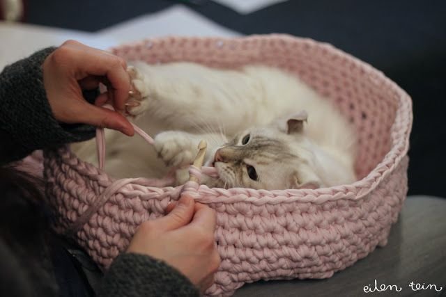 eilen tein: pesä -- NOTE 4 things. 1) This is the beginning of a 'cat cave' (I like it as a cat bed as well), 2) she is using a cloth fabric here, 3) when using YARN for stability make it larger and felt it, and 4) there is an ENGLISH translation at the bottom of the page.